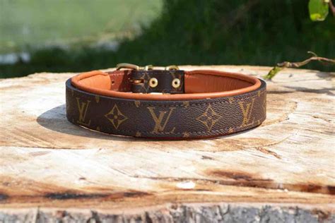 louis vuitton small dog collar